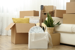 Découvrez les avantages des déménagements individuels et groupés avec Genne