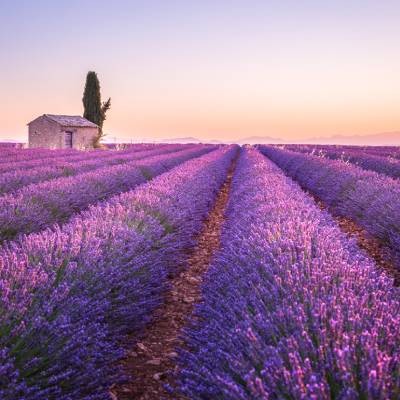 Déménagement groupé ou direct vers le sud de la France ?